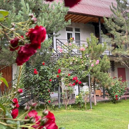 Podsolnukhi Guest House Cholpon-Ata Bagian luar foto