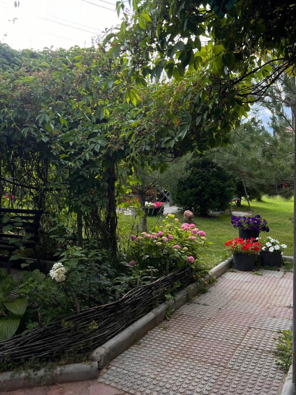 Podsolnukhi Guest House Cholpon-Ata Bagian luar foto
