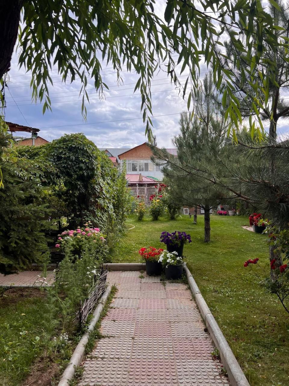 Podsolnukhi Guest House Cholpon-Ata Bagian luar foto